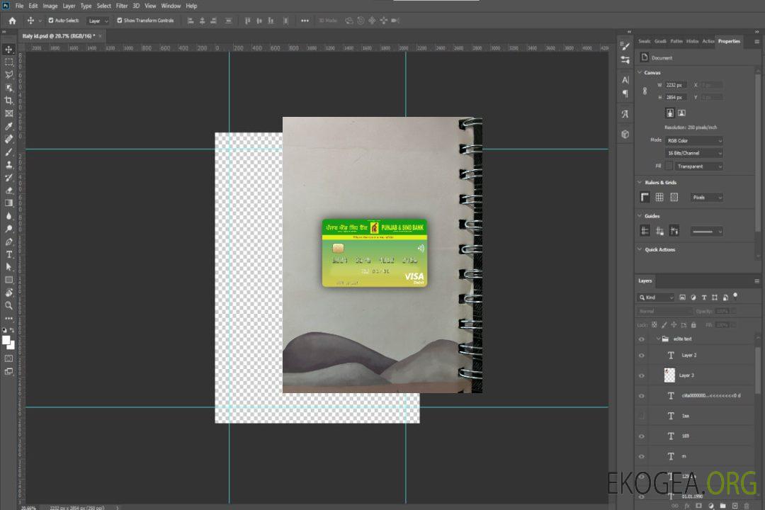 Photolook de visa pour l'Inde, le Pendjab et la Sind Bank template Photolook de visa pour l'Inde, le Pendjab et la Sind Bank template